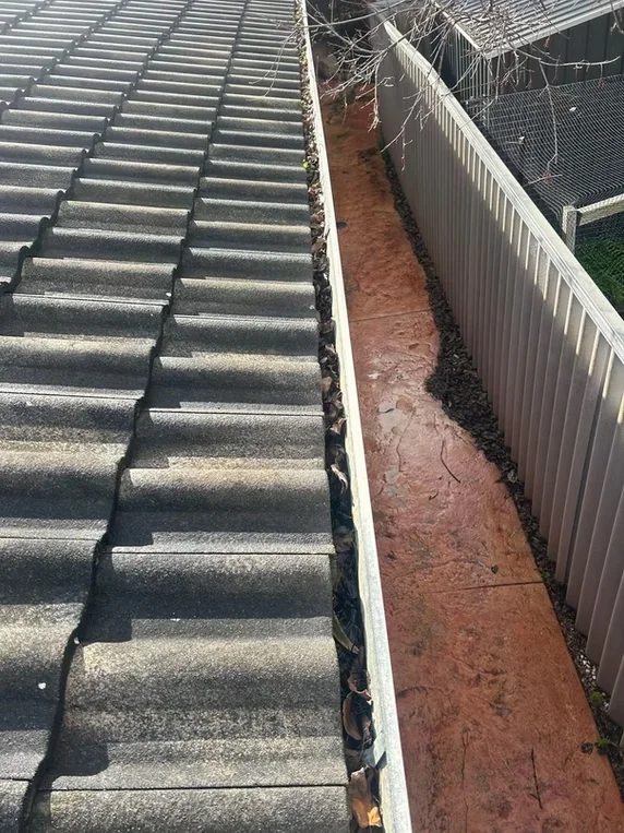 Gutter before vacuum cleaning